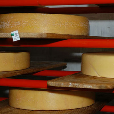 Сир Нарцис Карпат