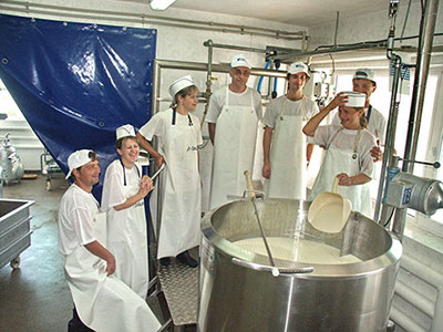 Добре молоко- основа хороших сирів